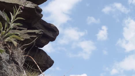 craggy rocks and plants grow on harsh moors against blue cloudy sky panning shot