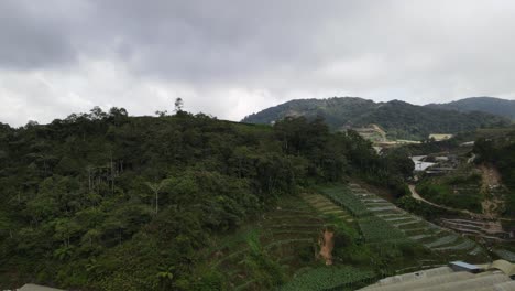 general landscape view of the brinchang district within the cameron highlands area of malaysia