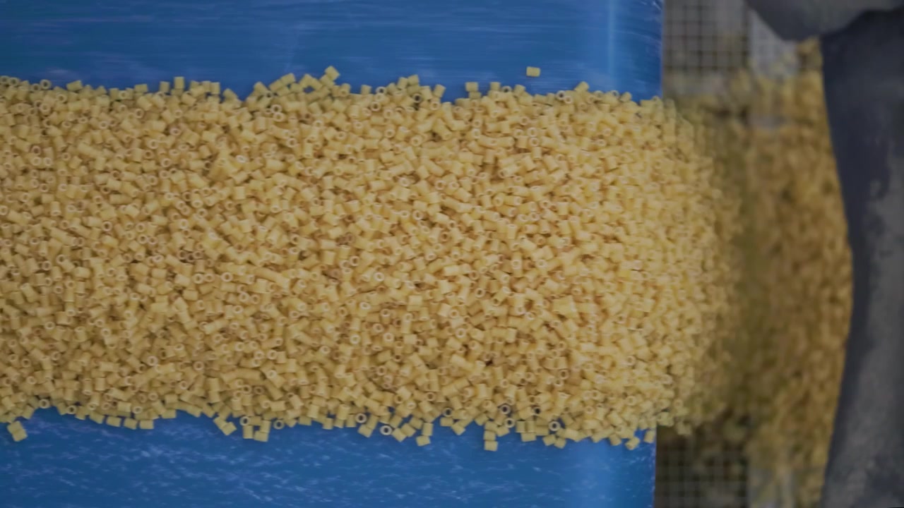 Vista dall'alto di pasta corta che si muove su un nastro trasportatore blu in un impianto alimentare automatizzato
