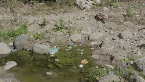 estanque fluvial contaminado con residuos plásticos y algas verdes en el departamento de el paraíso en honduras