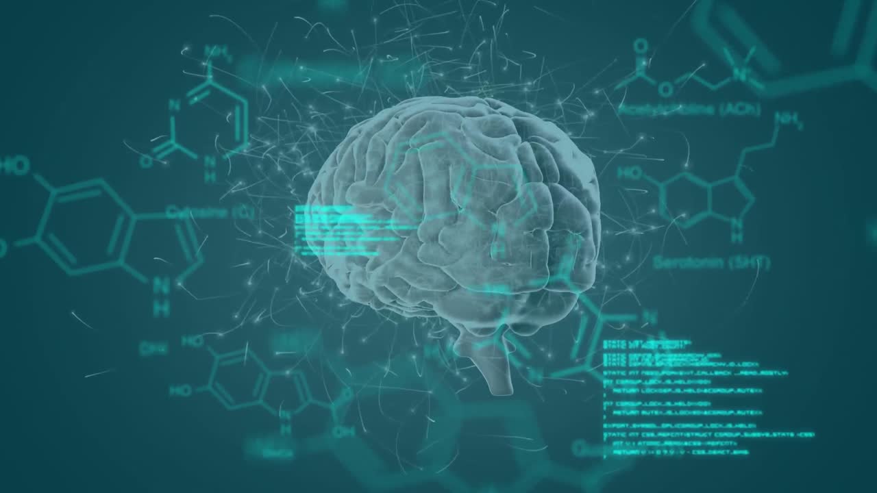 화학 화합물의 데이터와 구조 공식과 함께 3d 회전 뇌