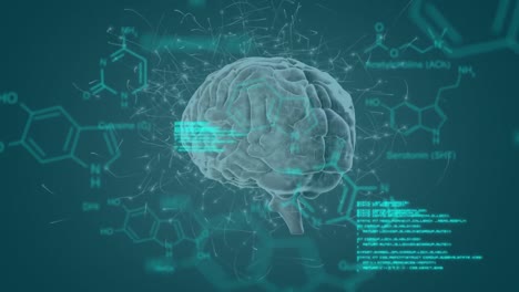 cerebro giratorio en 3d con datos y fórmula estructural de compuestos químicos