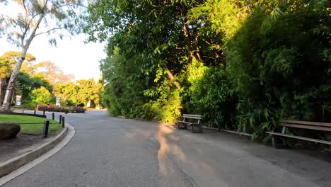 a serene pathway surrounded by lush greenery