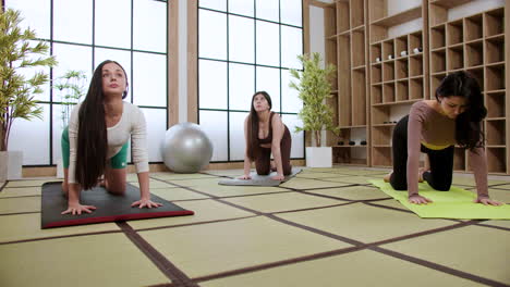 Frauen-Machen-Yoga-Drinnen