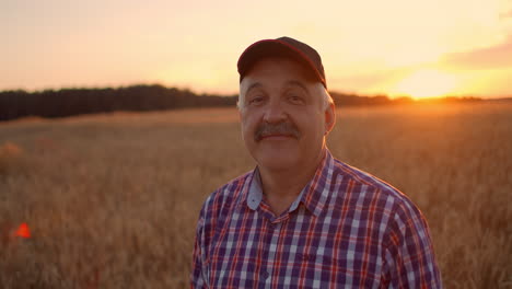 portrait of a smiling senior adult farmer in a cap in a field of cereals. in the sunset light an elderly man in a tractor driver after a working day smiles and looks at the camera.