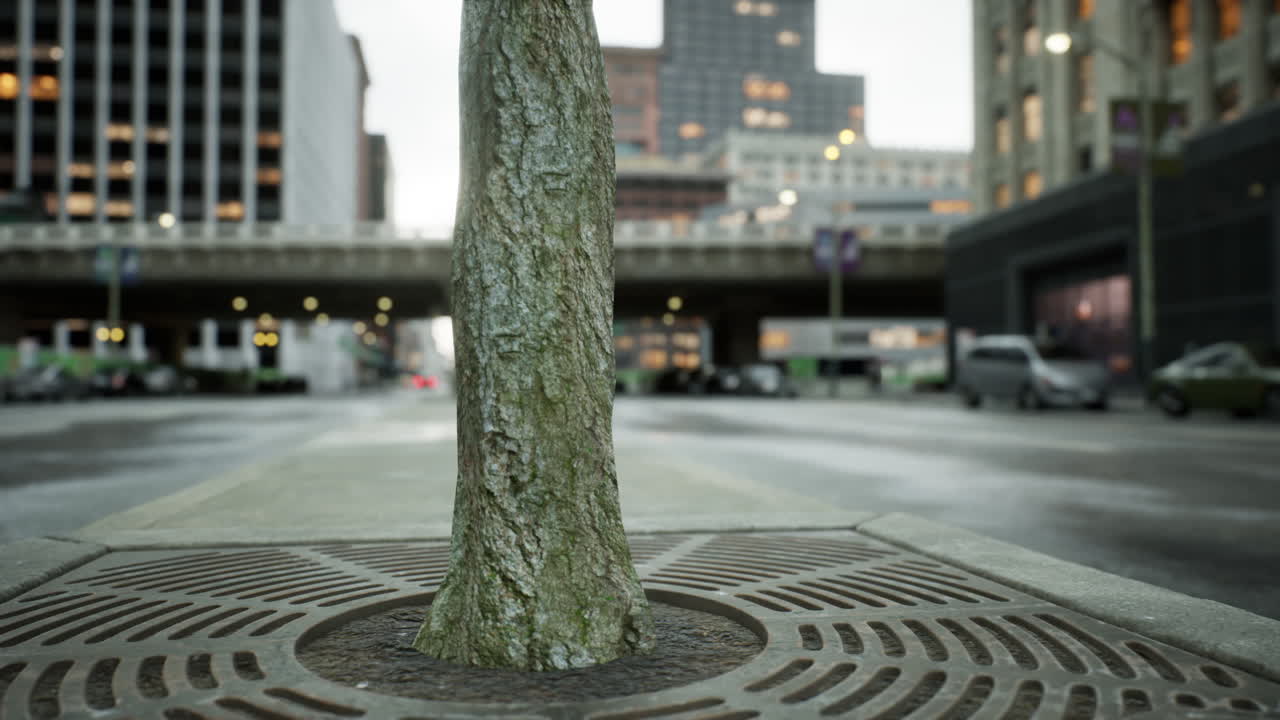 Stunning hyper lapse of downtown area
