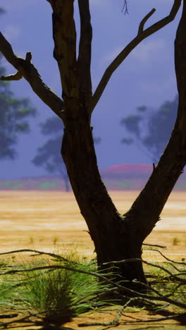 barren landscape with solitary tree under dramatic sky at twilight