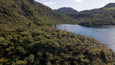 Lush,-mountainous-lake-shore-in-bright-sunlight-in-New-Zealand