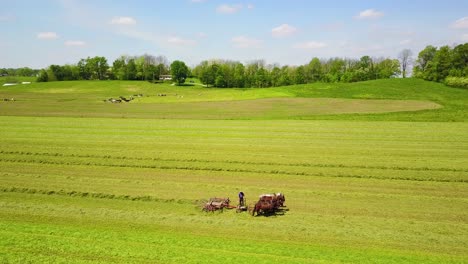 an aerial of amish farmers tending their fields with horse and plow