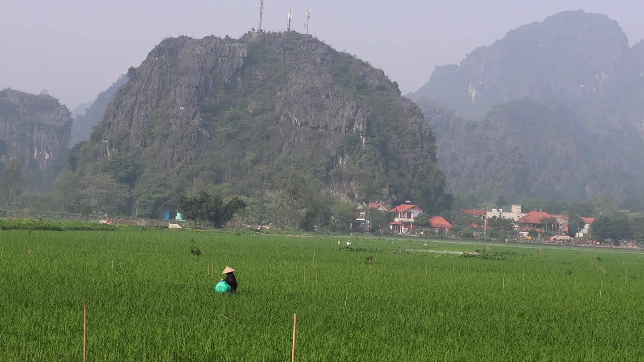농부는 경치 좋은 계곡에서 작물을 재배합니다.