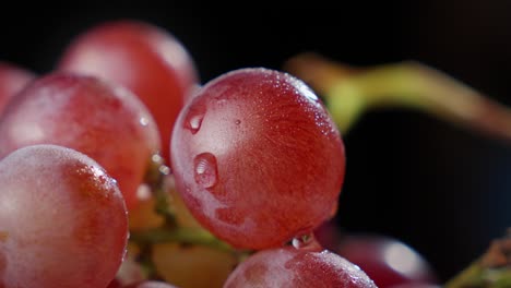 close-up of water droplets glistening on a grape, highlighting its freshness and texture