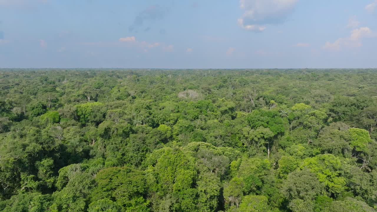 Aerial shot flying over the jungle canopy in Colombia on a sunny day