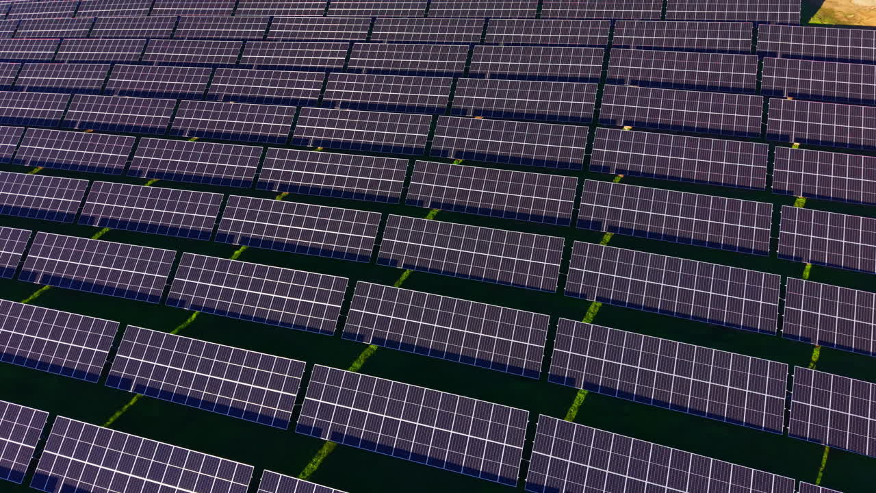 Expansive solar panels capture sun's energy in a renewable energy field on a bright, clear day