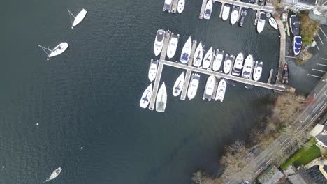 tranquil marina, birds-eye drone view, top-down shot of boats docked