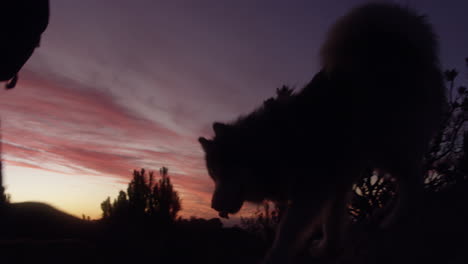 dog and couple enjoying a sunset hike