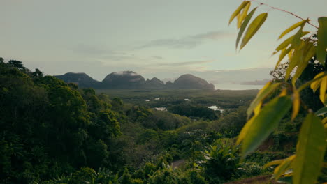 sunrise view of tropical forest and bay