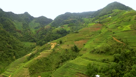 Vastas-Y-Exuberantes-Terrazas-De-Arroz-En-Un-Valle-En-El-Norte-De-Vietnam