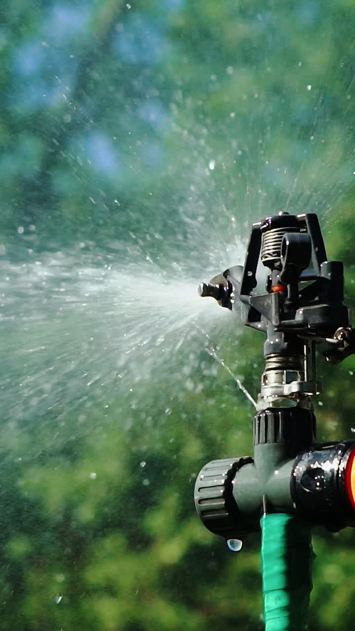 Watering lawn in green garden. Watering hose and sprayer water on the garden. Vertical video
