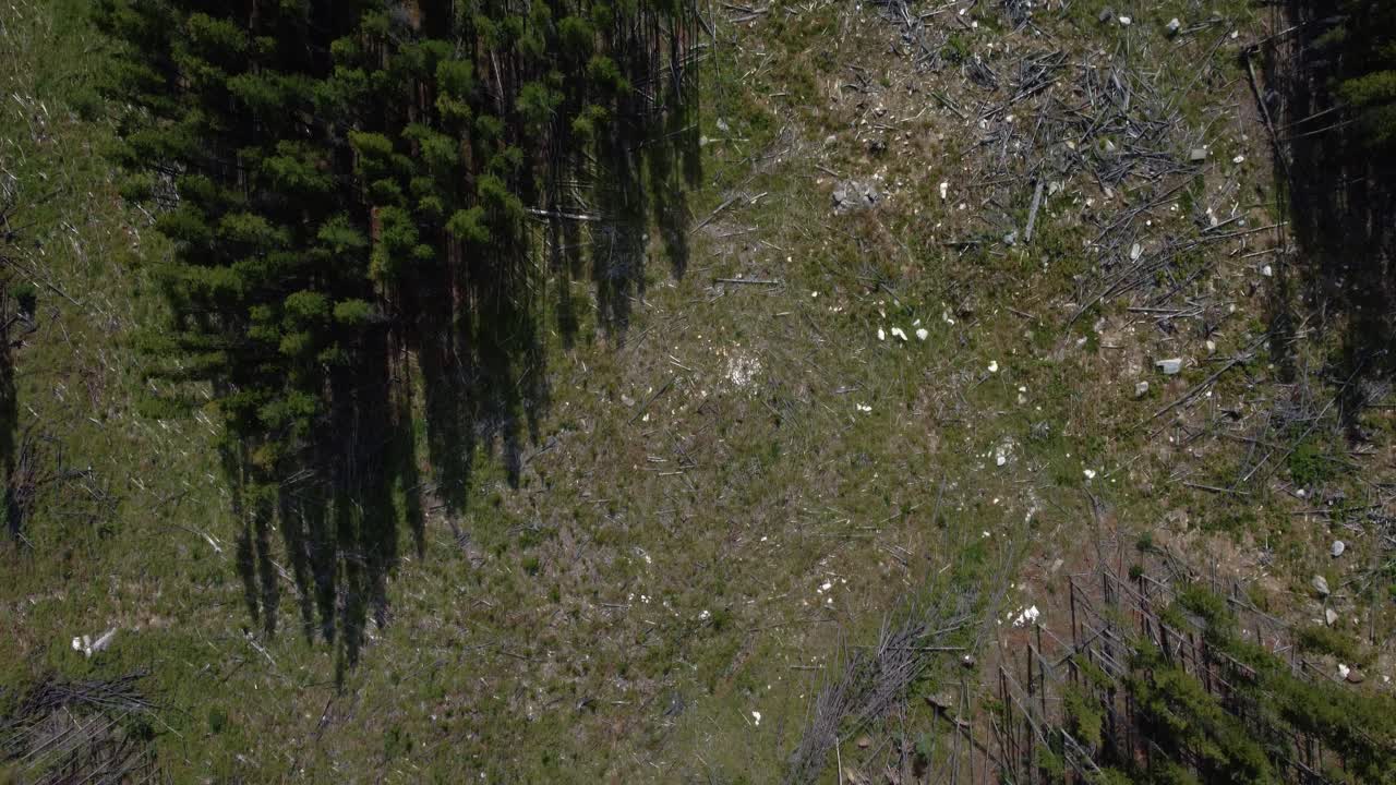 Top-down aerial of Kananaskis treeless mountaintop