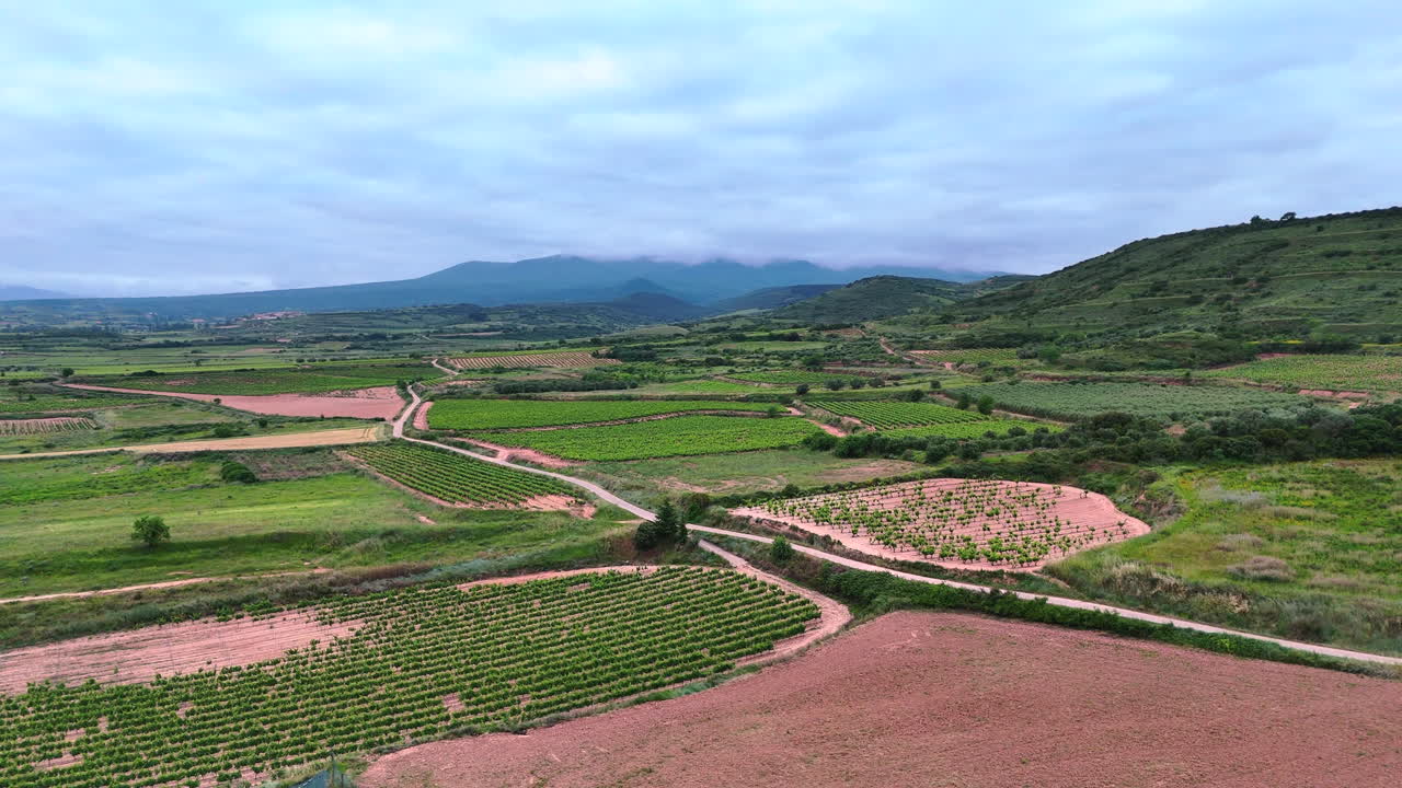 Reverse aerial flight over green vineyards and agricultural landscape in La Rioja, Spain. Beautiful wine region fields with mountain backdrop under cloudy sky. Scenic viticulture and winery area