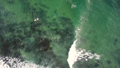 Tiro-De-Ojo-De-Pájaro-De-Drone-De-Longboard-Surfeando-En-Malibu-En-La-Playa-De-La-Costa-Central-Blue-Bay-Australia-3840x2160-4k