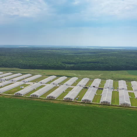 rows of white buildings of industrial complex outdoors. large area of modern farmhouses surrounded by green fields and forests.