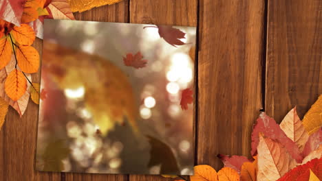 hoja de otoño cayendo en la mesa de madera 4k