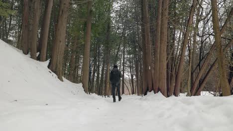 toma estática baja de un excursionista en un denso bosque invernal cubierto de nieve alejándose de la cámara