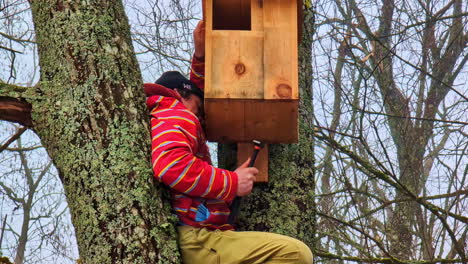 man fixing bird nest box on tree with hammer and nails