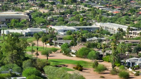 golf course in a luxurious desert with palm trees