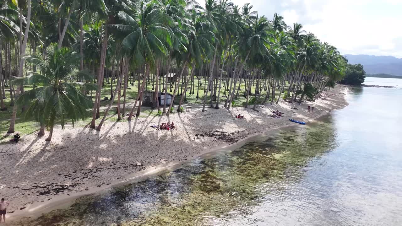 Aerial close up of Coconut Beach, tropical Island vibe of palm trees and white sandy beach, Philippines.