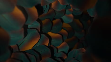 Colorful Tunnel of Feathers - Loop Animation