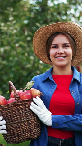 caucasian lady is happy about the harvest of apples collected in the garden. woman in hat holds a full basket of fruit standing in the orchard. vertical video