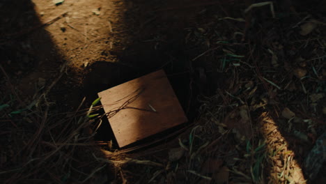 wooden block in the ground