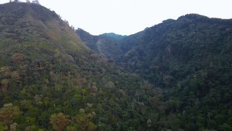 Luftaufnahme-Des-Waldes-Im-Tal-Des-Hügels-Am-Frühen-Morgen