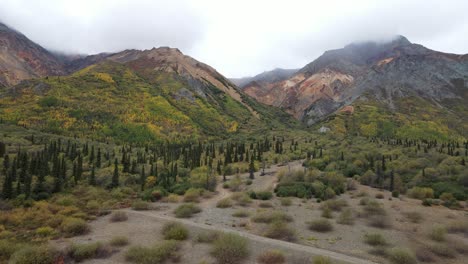 campo de árboles pequeños que cambian de hoja con montañas coloridas en el fondo rodeado de nubes bajas de aspecto nebuloso