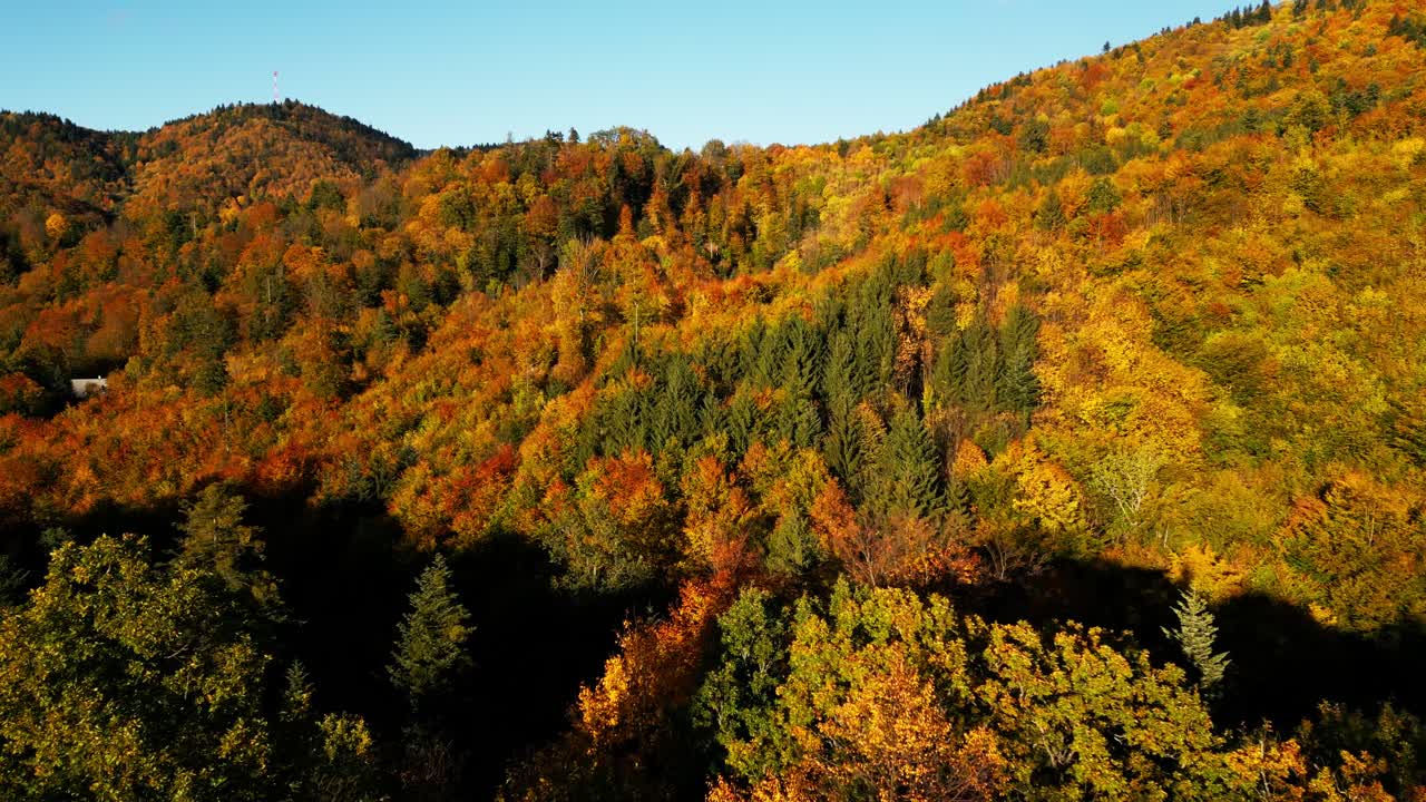дрон спускается, подталкивая наклон вверх к блестящему золотому часу света, распространяющемуся по осеннему лесу.