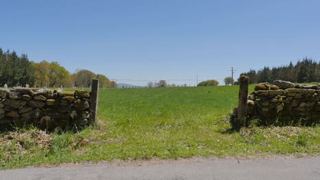 a stone fence with an open gate into a green grassy field with forest on each side and a backdrop of clear blue sky on a sunny day