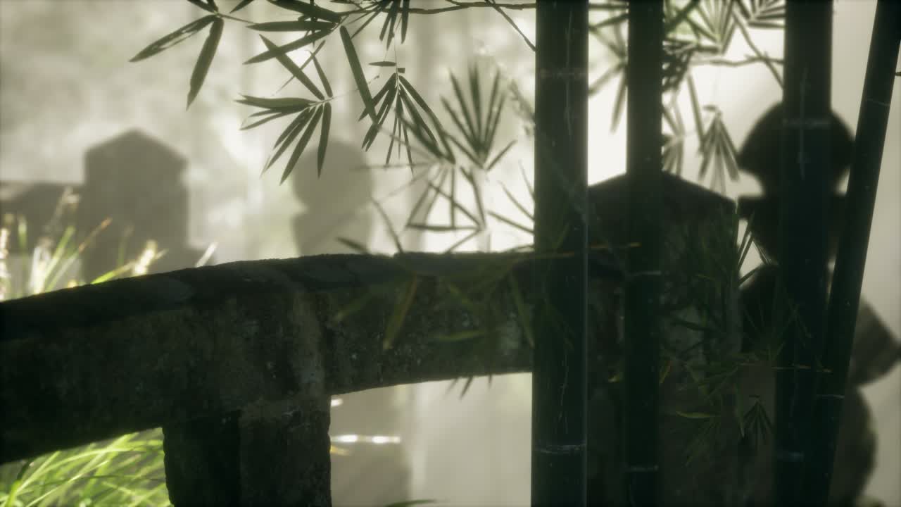 bosque de bambú de japón y hierba verde de prado con luz natural