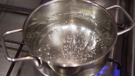 water boils in a saucepan on the burner of the gas stove.