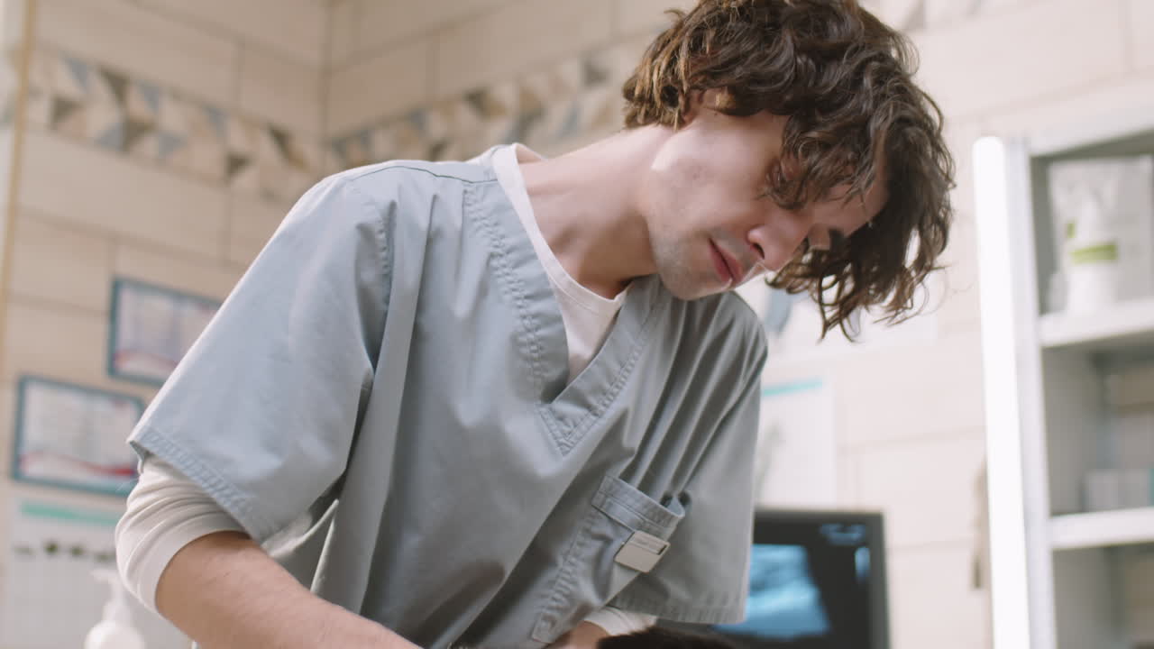 수의사는 고양이에게 검사를 하고 클리닉에서 메모를 취합니다.