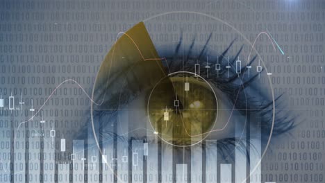 animation of statistics and scope scanning with binary coding over woman's eye in background