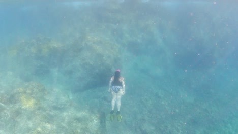 潛水員在英國維珍群島 (british virgin islands) 的深海潛水