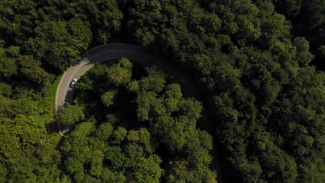 vista aérea de un coche blanco desde arriba drenando en una curva apretada en un bosque, mira hacia arriba disparado a un río curvo bajo el horizonte de cielo azul en verano