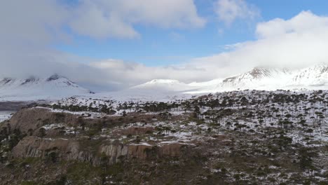 beautiful hillside with araucarias set before snow-covered mountains in caviahue-copahue, argentina