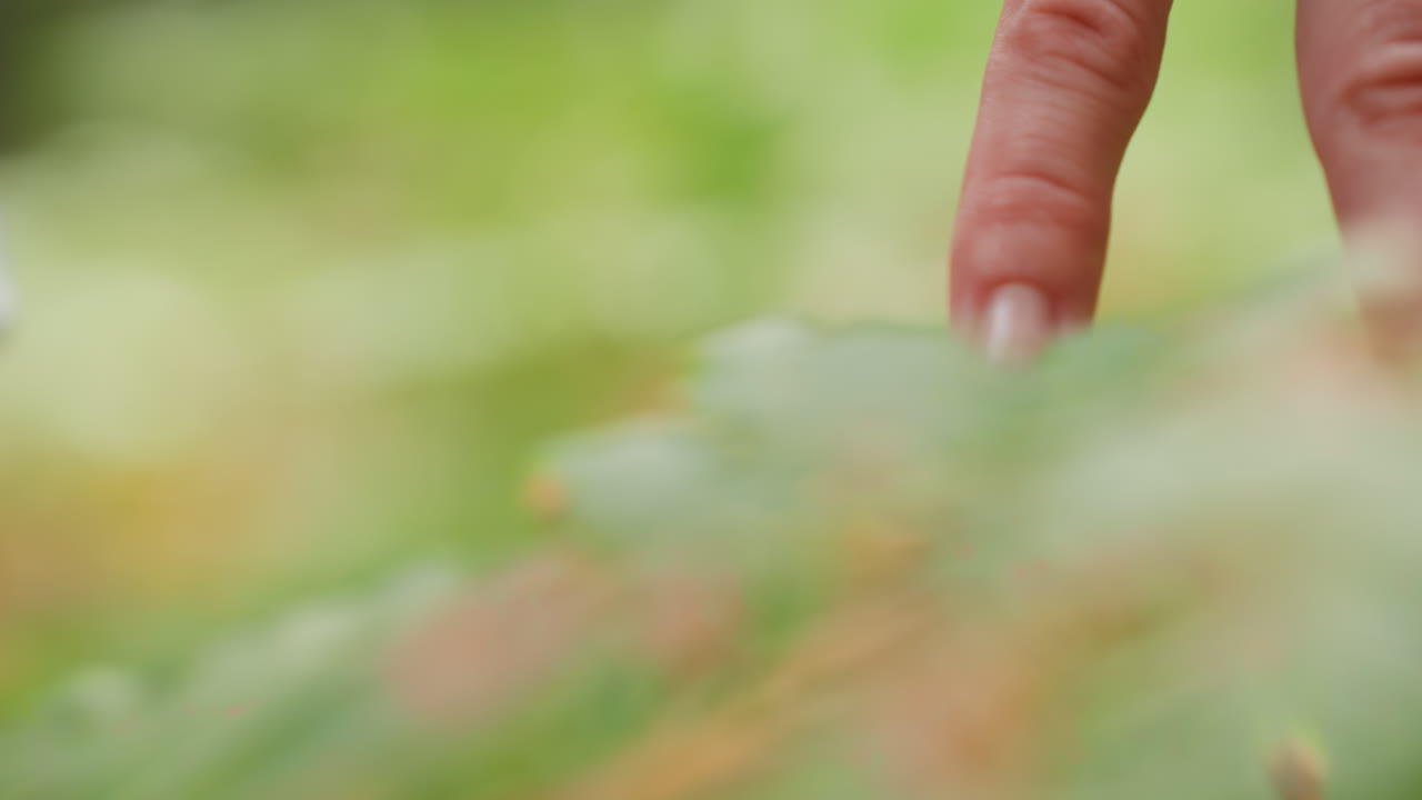 Close up of gentle hand in white gown softly touching fern leaf in forest sunlight showing peaceful connection purity tenderness and calm emotion symbolizing mindfulness