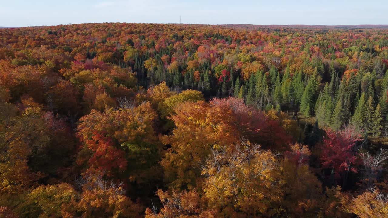 tiro lento y suave de un dron volando sobre un hermoso paisaje natural