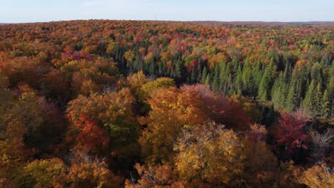 slow and gentle drone shot flying over beautiful nature landscape