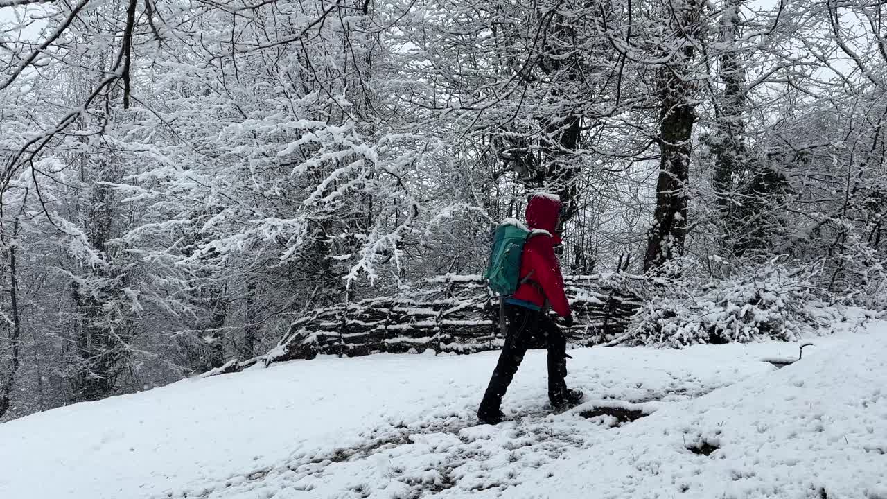 una mujer de chaqueta roja haciendo senderismo en la nieve caminando cuesta arriba en la temporada de invierno en el bosque fuertes nevadas cubren las ramas de los árboles hace maravilloso paisaje de jardín hyrcanian en la estación de invierno concepto de senderismo en irán viaje