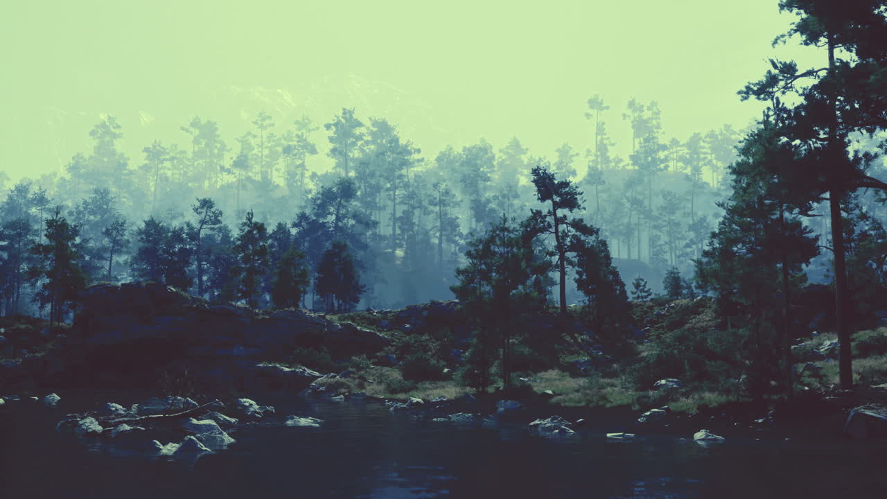 Rolig skogslandskap reflektert i stille vann i tidlig morgenlys